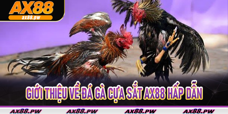 Giới thiệu về Đá Gà Cựa Sắt Ax88 hấp dẫn