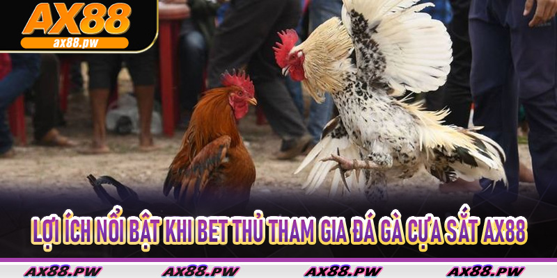 Lợi ích nổi bật khi bet thủ tham gia đá gà cựa sắt Ax88