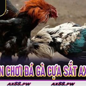 Đá Gà Cựa Sắt Ax88