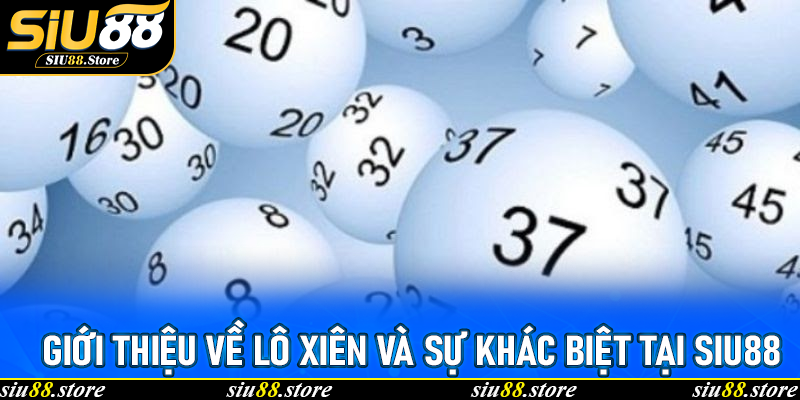 Giới thiệu về lô xiên và sự khác biệt tại Siu88